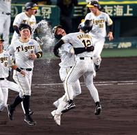 　９回、サヨナラ打を放ち坂本（右）と抱き合って喜ぶ木浪（撮影・山口登）