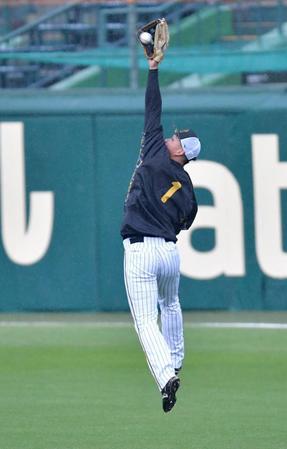 　ノックで打球に飛びつく森下（撮影・西岡正）