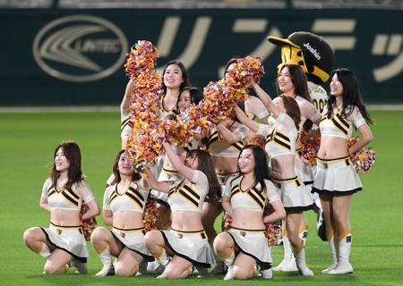　試合前、パフォーマンスを披露するＴｉｇｅｒｓＧｉｒｌｓ（撮影・中田匡峻）