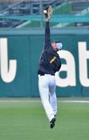 　ノックで打球に飛びつく森下（撮影・西岡正）