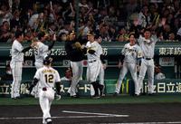 　６回、坂本の勝ち越し打で佐藤輝が生還し喜ぶ阪神ナイン（撮影・山口登）