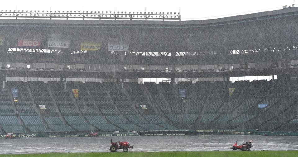 　雨が降る中、内野にはシートが敷かれる（撮影・中田匡峻）