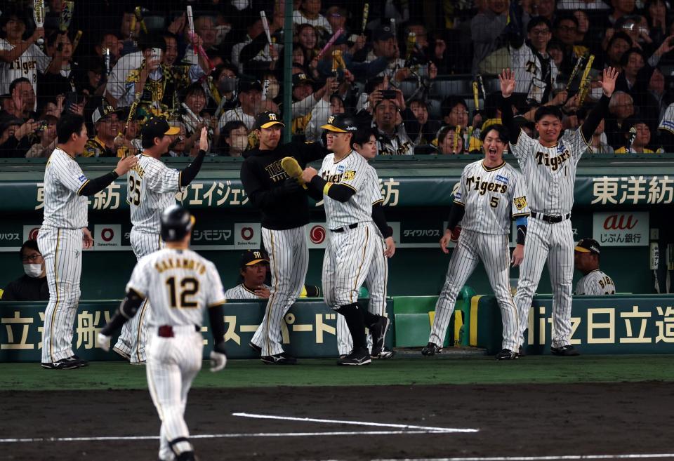 　６回、坂本の勝ち越し打で佐藤輝が生還し喜ぶ阪神ナイン（撮影・山口登）