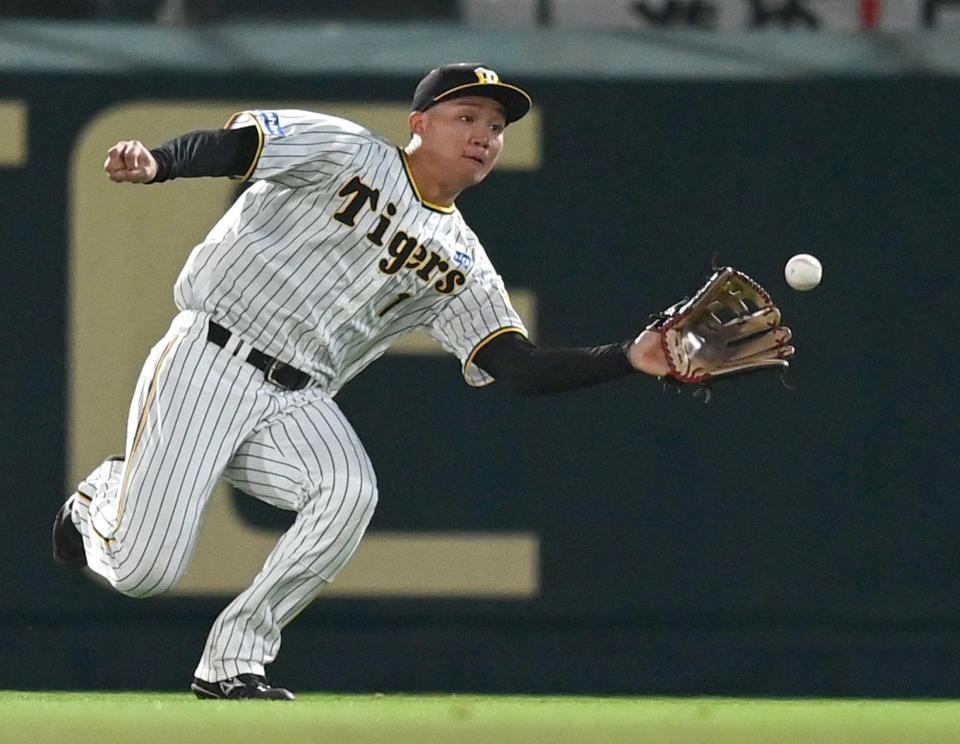 　８回、松山の打球を捕る森下（撮影・田中太一）