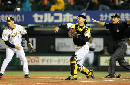 　六回、楽天・沖原のバントフライを矢野は冷静にバウンドで処理して三塁へ送球＝２００６年６月１４日、フルスタ宮城（当時）