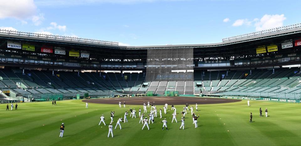 　青空の下、アップを始める阪神ナイン