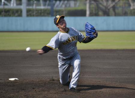 　先発して力投する青柳