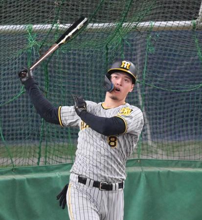 　フリー打撃で快音を響かせる佐藤輝（撮影・立川洋一郎）