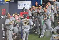 　５回、近本の適時三塁打で生還した渡辺諒を祝福する阪神ナイン（撮影・西岡正）