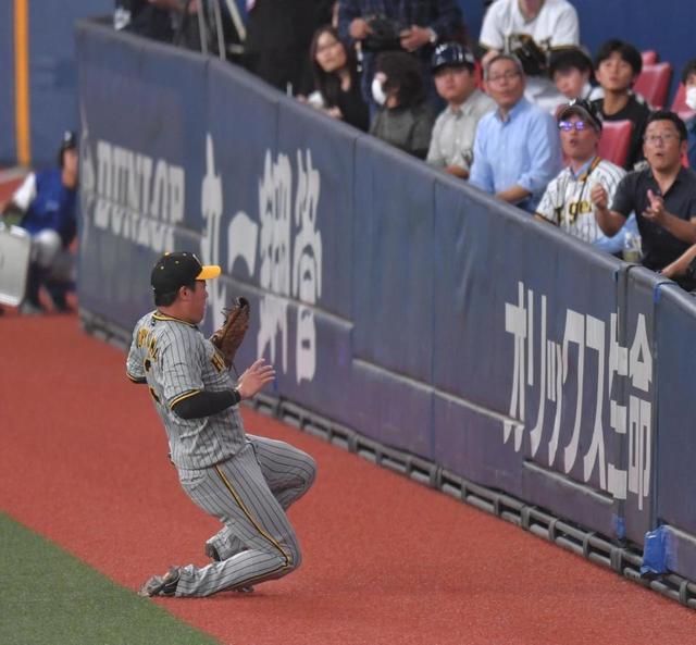 【写真】フェンス際で鮮やか背走キャッチ！！大山自身も驚き顔www