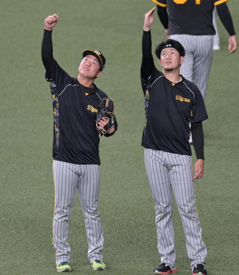 　練習中にドームの天井を見上げて話をする村上（左）と岩貞（撮影・立川洋一郎）