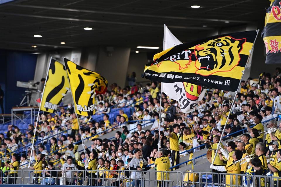 応援する阪神ファン（撮影・金田祐二）