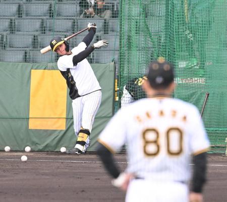 　岡田監督の見守る中、打撃練習する森下（撮影・金田祐二）