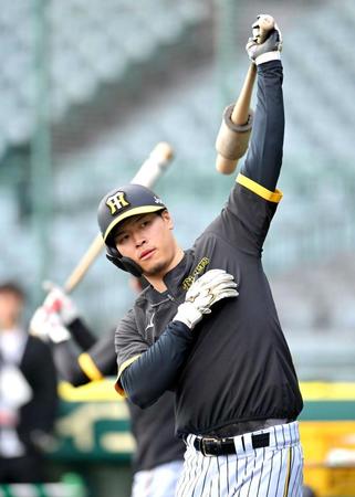 　打撃練習に臨む佐藤輝