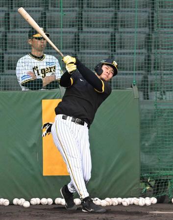 　打撃練習する佐藤輝