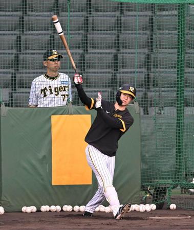 　打撃練習する中野（撮影・金田祐二）