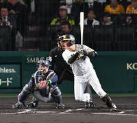 　２回、右前打を放つ大山（撮影・金田祐二）