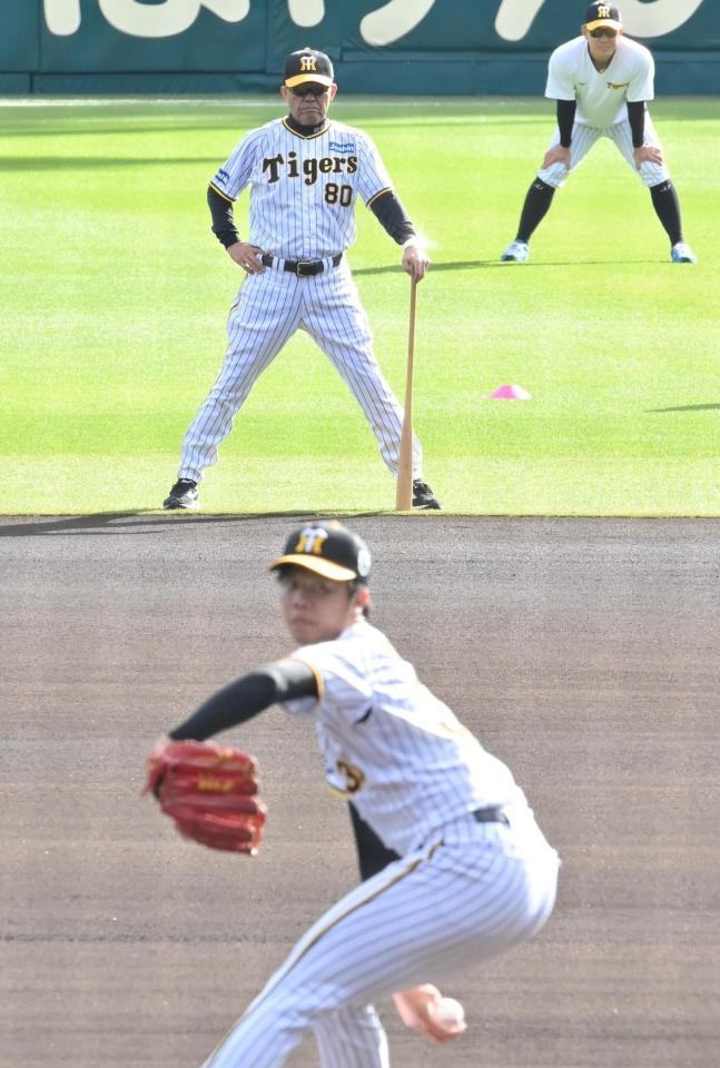 　マウンドで投球する才木（手前）を見つめる岡田監督（撮影・西岡正）