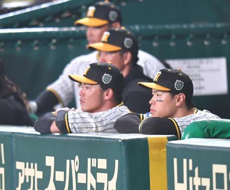 　７回途中に交代し、ベンチから試合を見る佐藤輝（右）＝撮影・西岡正