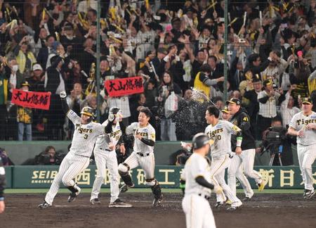 　９回、サヨナラ打を放ちガッツポーズする大山（３）＝撮影・立川洋一郎