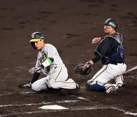 　２回、近本の左前打で生還する木浪（撮影・山口登）