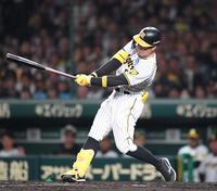 　３回、空振り三振に倒れる佐藤輝（撮影・中田匡峻）