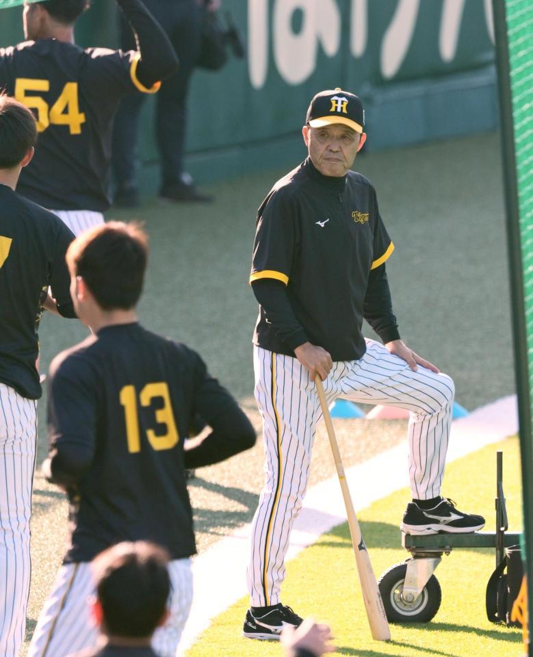 　練習を見守る岡田監督（撮影・立川洋一郎）