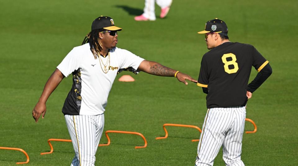 　じゃれ合う佐藤輝とミエセス（撮影・金田祐二）