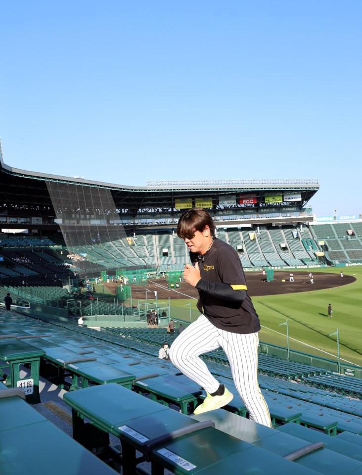 　階段を駆け上がる梅野（撮影・山口登）