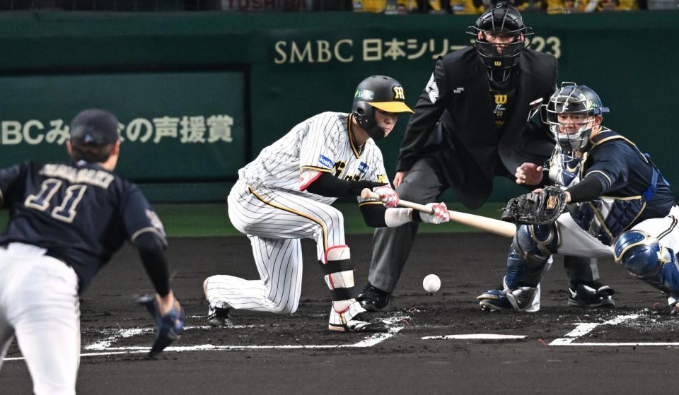 　１回、送りバントをきめる中野（撮影・金田祐二）