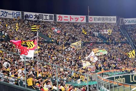 ライトスタンドで応援する阪神ファン（撮影・金田祐二）
