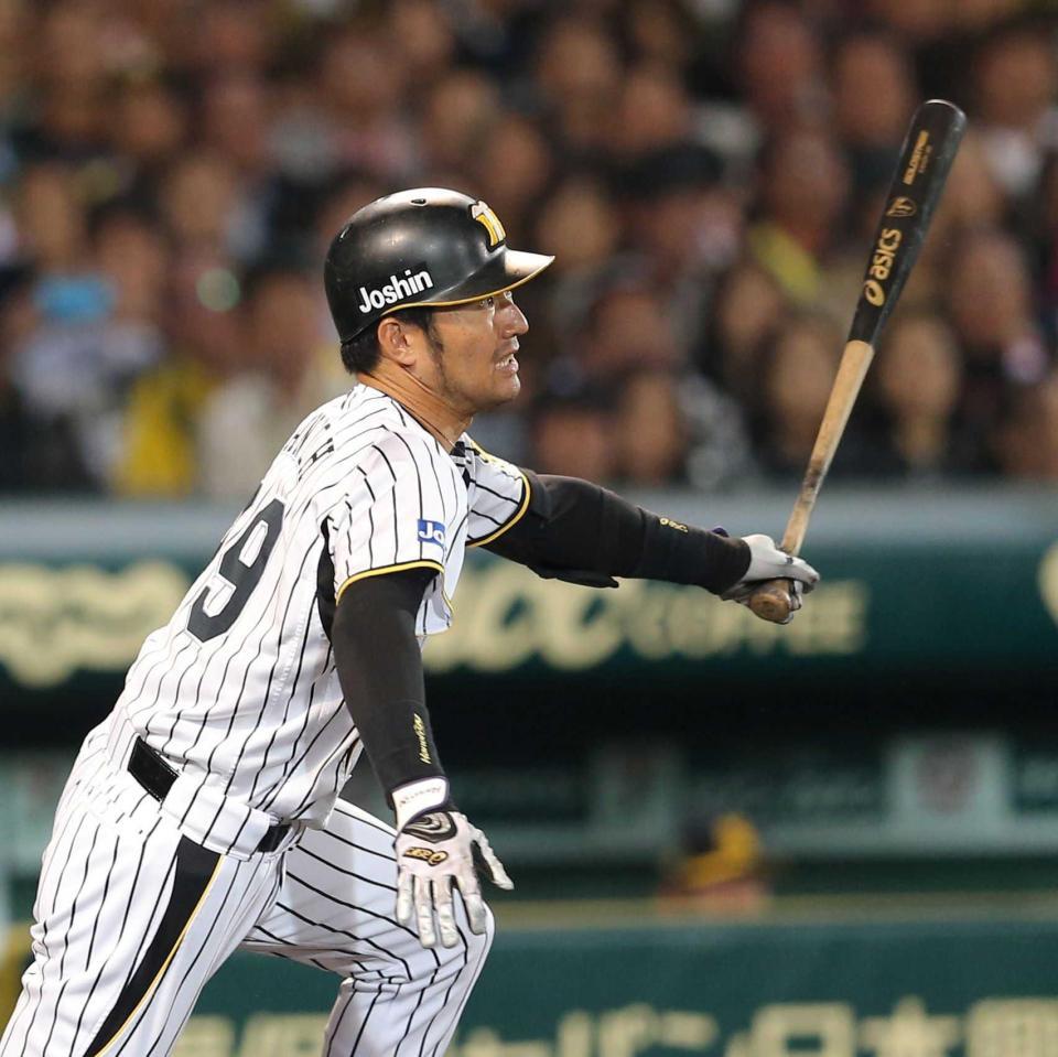 元阪神タイガース狩野恵輔選手支給バット❗️❗️ - 野球