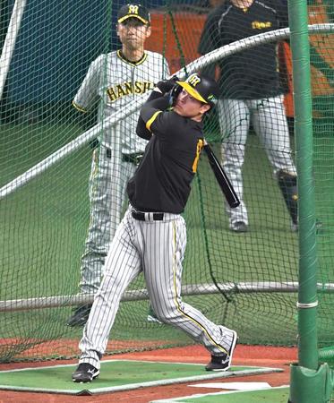 　フリー打撃で快音を響かせる佐藤輝（撮影・北村雅宏）