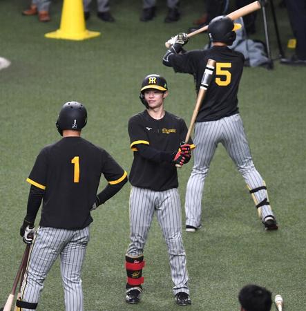 　打撃練習する中野ら（撮影・飯室逸平）