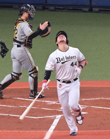 　１回、遊直に倒れて先制のチャンスを逃し天を仰ぐ頓宮（撮影・立川洋一郎）