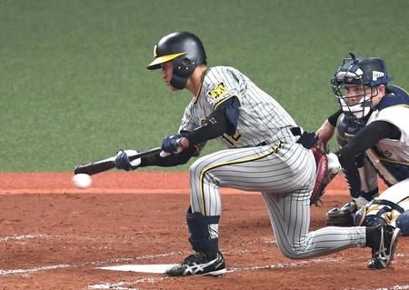 　４回、坂本はスクイズを試みるもファウルとなる（撮影・北村雅宏）