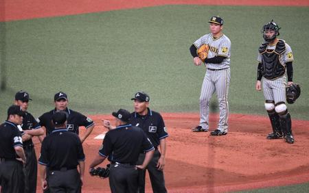 　２回、審判団の協議を待つ村上と坂本（撮影・飯室逸平）