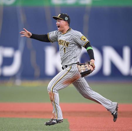 　日本一の輪に駆け込んでいく森下（撮影・中田匡峻）