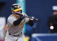 　６回、犠打を決める坂本（撮影・中田匡峻）