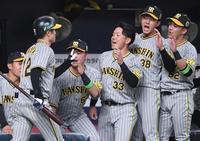 　６回、犠打を決めた坂本（左）を迎える糸原（右から３人目）らナイン（撮影・中田匡峻）