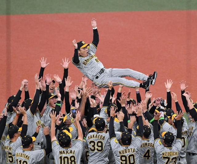 阪神 岡田監督が5度、宙を舞う 監督としてシリーズ最年長タイの日本一