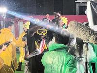 　「今日も主役」のタスキをかけ、ビールかけするミエセス