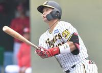 　阪神・野口恭佑
