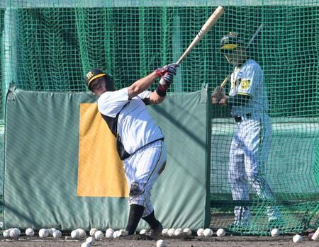 　フリー打撃で柵越えを連発する野口（撮影・立川洋一郎）