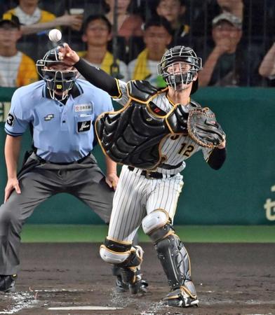 阪神・坂本　初ＧＧ賞「びっくり」最高の３０歳バースデー　日本一けん引キャリアハイ８４試合出場