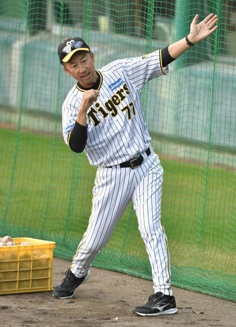阪神・今岡コーチ“未来の主砲”に熱血指導 井上に「意識」、右京に