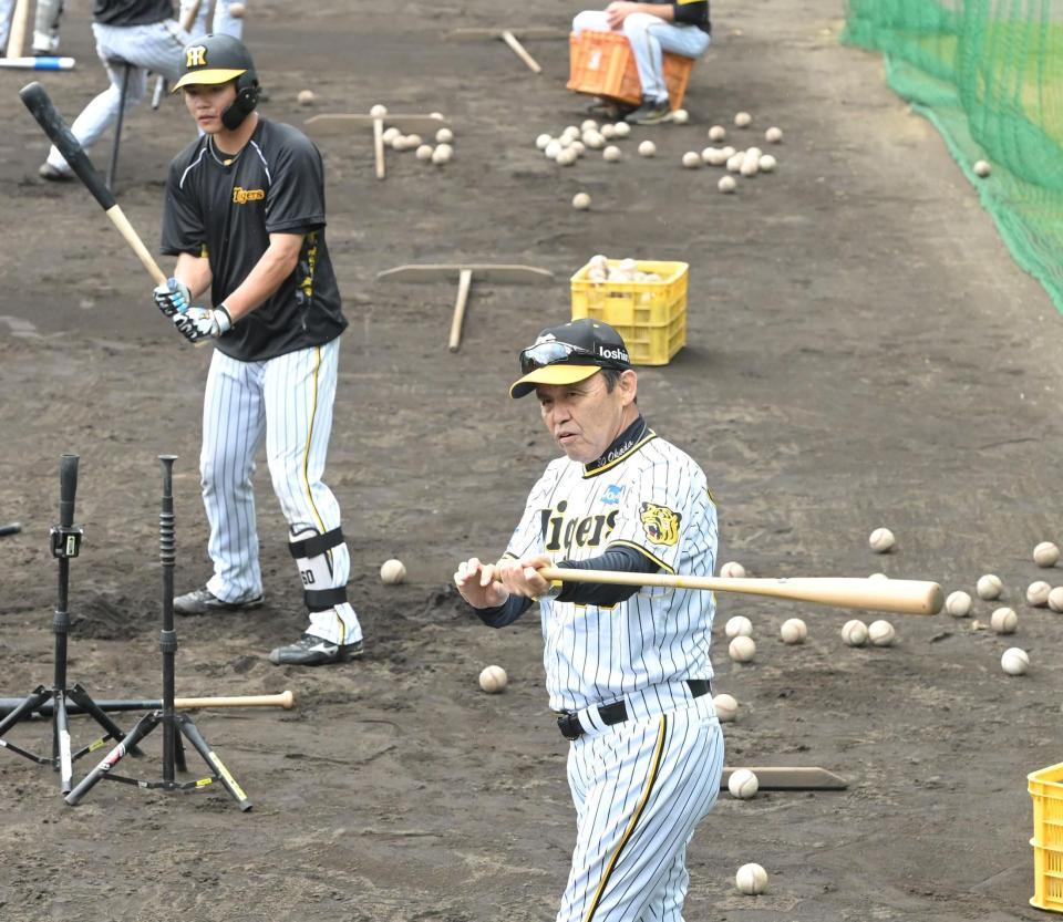 　小野寺（左）に打撃指導する岡田監督（撮影・高部洋祐）