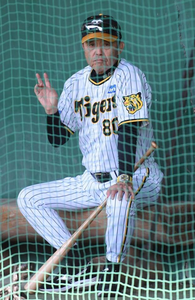 　ブルペンで投球練習を見守る岡田監督（撮影・石井剣太郎）