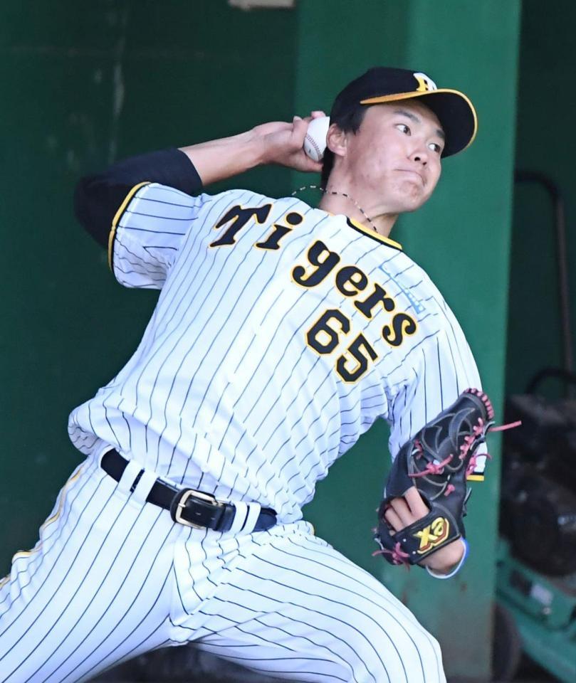 阪神タイガース 2023 ボブルヘッド湯浅選手 阪神タイガース 2023 ボブルヘッド湯浅選手