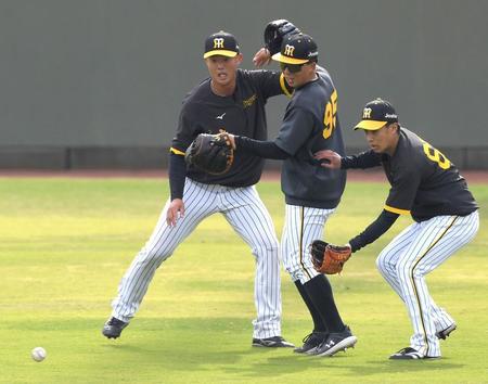 　ノックの打球を追う（左から）高浜、片山、植田（撮影・北村雅宏）